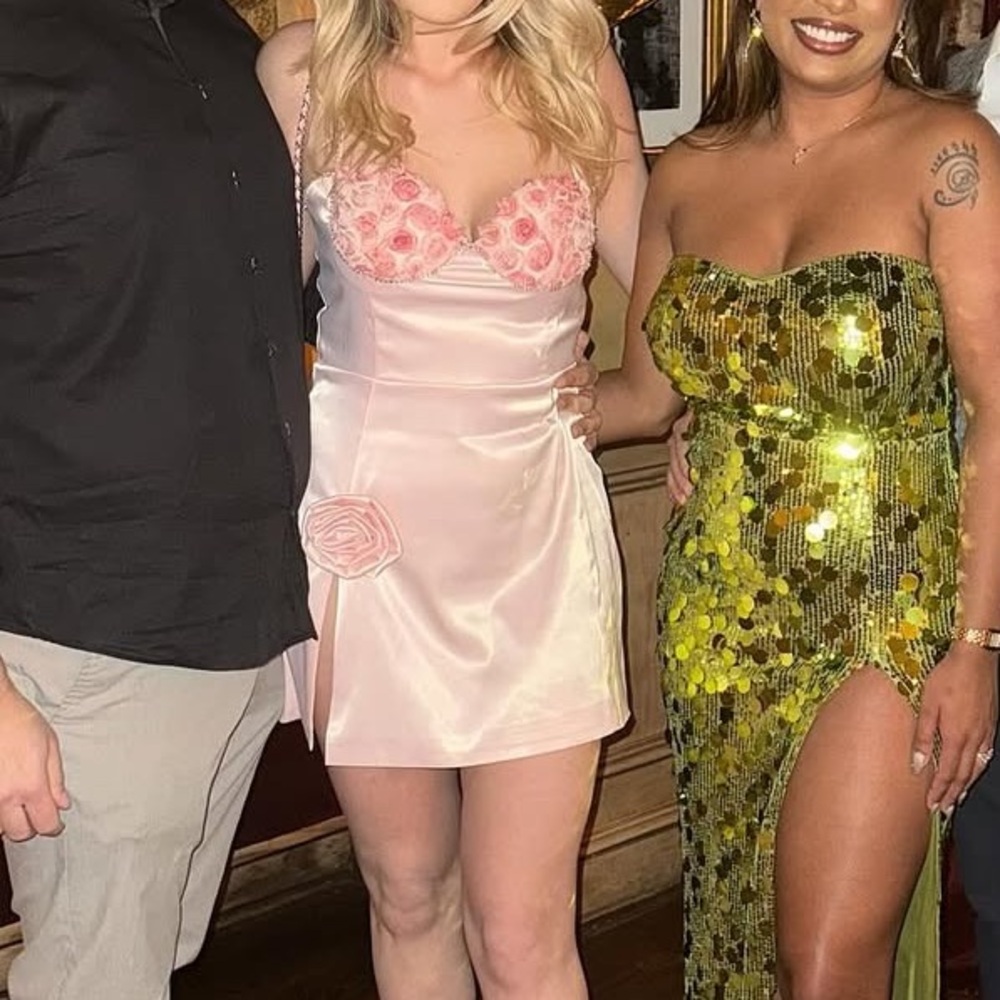Jessica Bara Pink Rose Dress - Picture 4 of 5